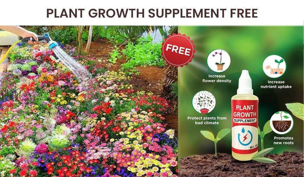 Varieties of Flower Seeds (Pack of 100) And Get Plant Growth Supplement Free